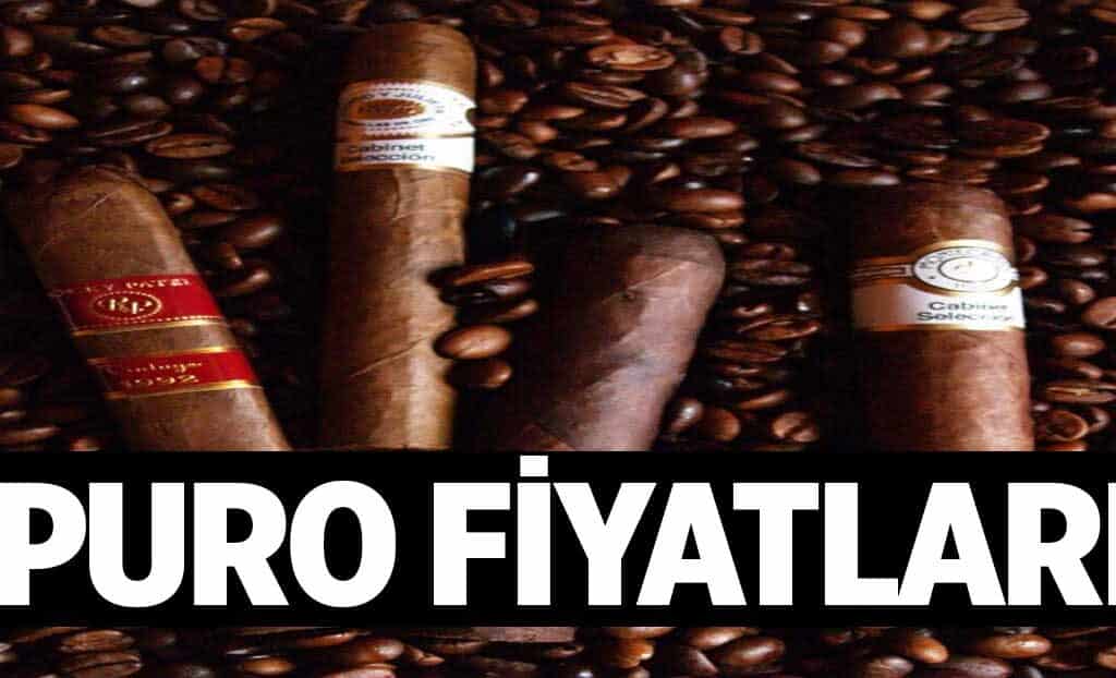 Puro Fiyatlari 1024x622fxV.jpg