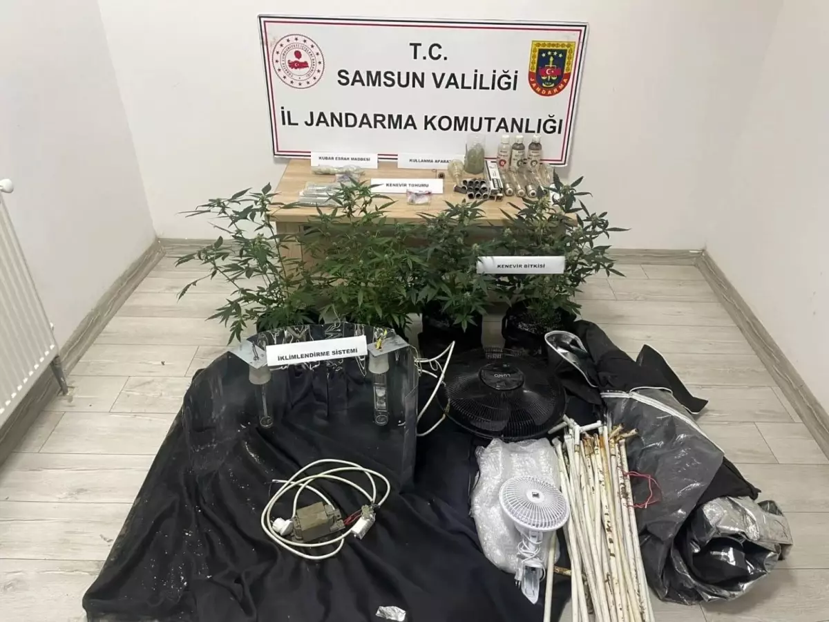 Samsun’da Uyuşturucu Operasyonu: 1 Gözaltı