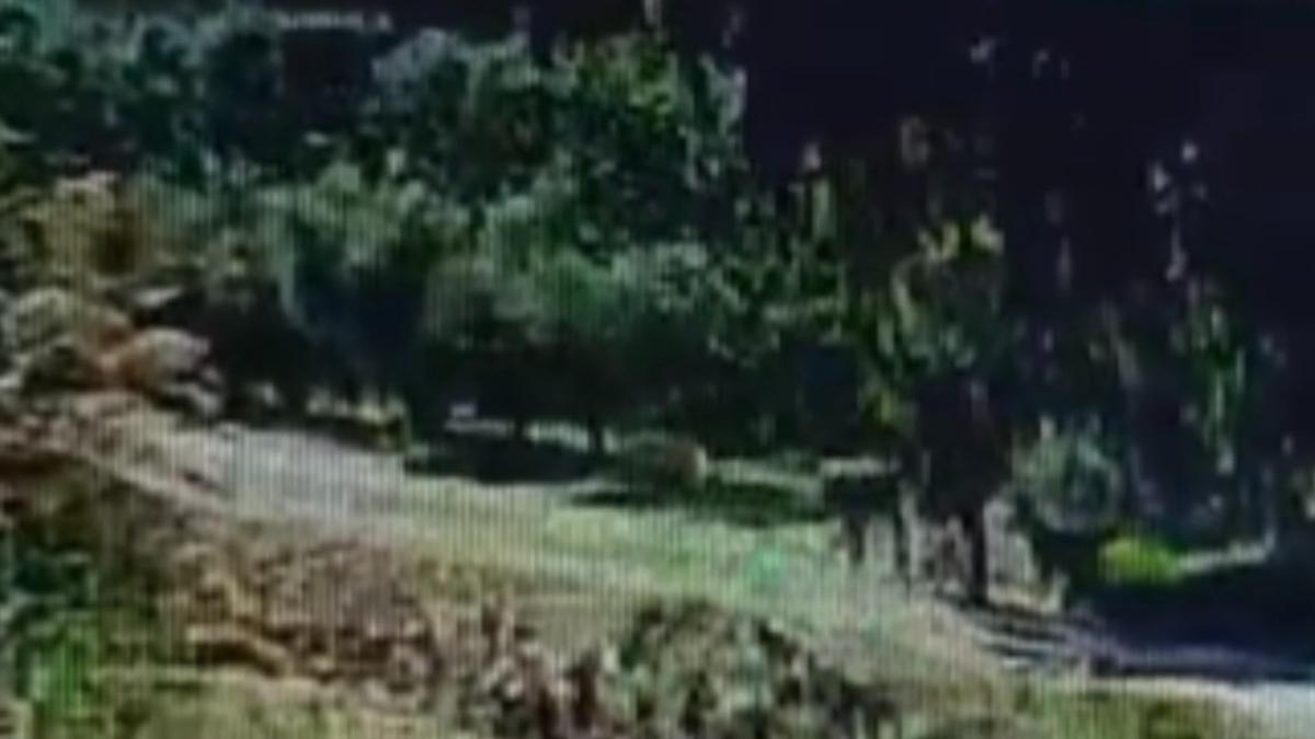 hatayda bahcesinde bagli kopegi caldilar DhDqFqsO.jpg