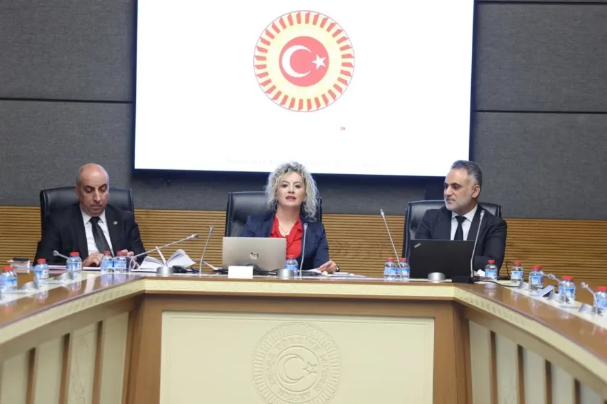 Suça Sürüklenen Gençler İçin Yeni Çözüm Önerileri