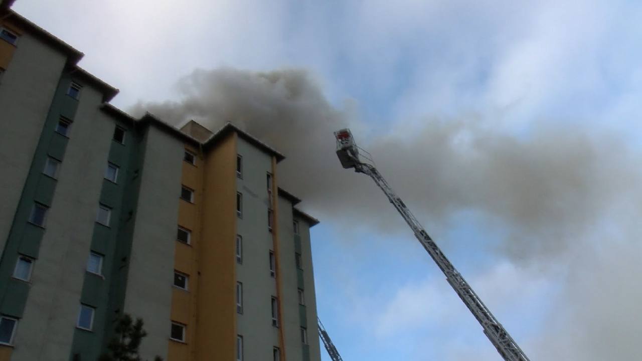 Ataşehir’de Yangın Korkusu: Engelli Köpek Kurtarılmayı Bekliyor