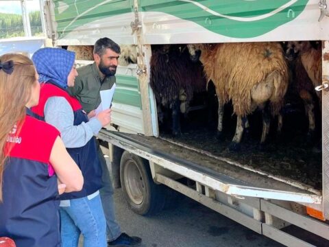 Elazığ’da Kurban Bayramı Öncesi Hayvan Denetimleri Sürüyor