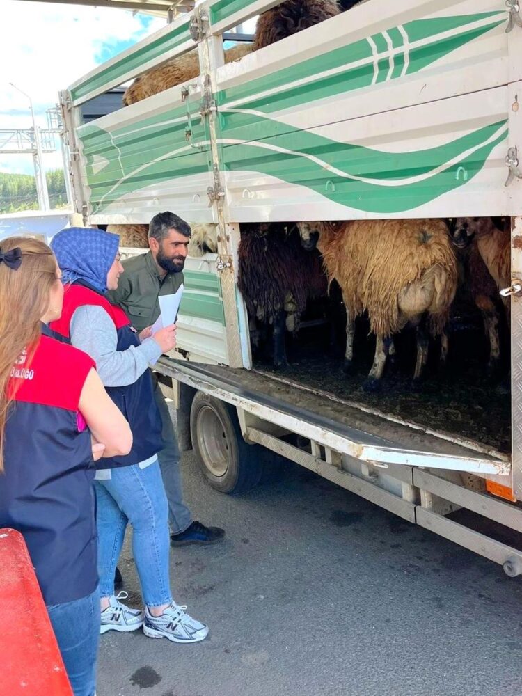 Elazığ’da Kurban Bayramı Öncesi Hayvan Denetimleri Sürüyor